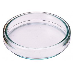 Petri dish, glass