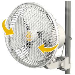 Monkey Fan Oscillating 20W