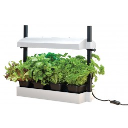 Micro Grow Light Garden...