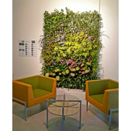 Green walls creation and...