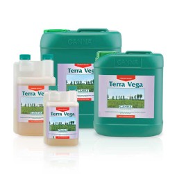 Canna Terra Vega