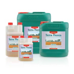 Canna Terra Flores