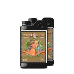 Sensi Coco Bloom A+B, 1L,...