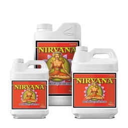 A.N. Nirvana
