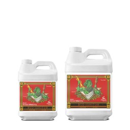 Bud Ignitor, Advanced...