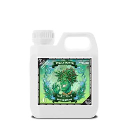 Narcissus (Flawless Finish)...