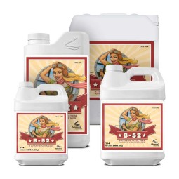 B-52, Advanced Nutrients