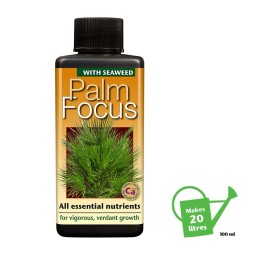 Palm Focus 100ml, Growth...