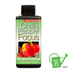 Chilli and Pepper Focus...