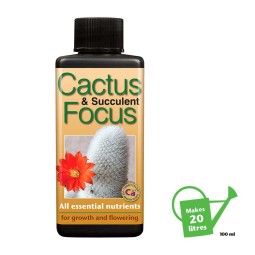 Cactus and Succulent Focus...