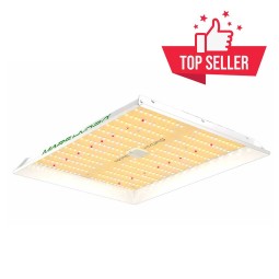 Dimmable LED TS 1000, 150W,...