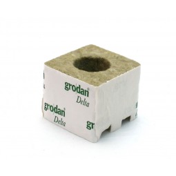 Rockwool propagation cubes...