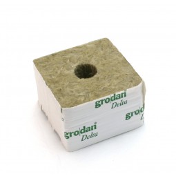 Rockwool propagation cubes...