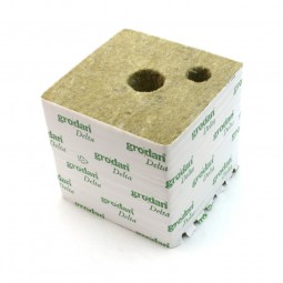 Rockwool propagation cubes...