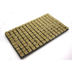 Rockwool cubes on tray...