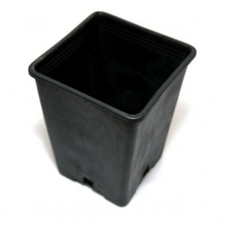 Square pot 10x10x11 cm